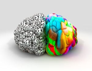 Neurosincronización y cerebro triuno