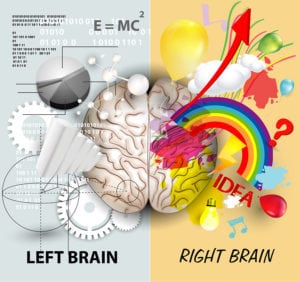Cerebro triuno: neurocortex